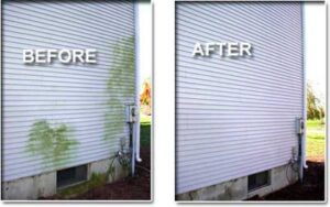 Before & After Siding Clean